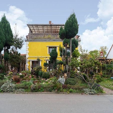 Holiday Flat With Garden In Wißmar Kültér fotó
